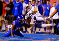 _CX18395