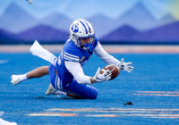 Potato Bowl 107