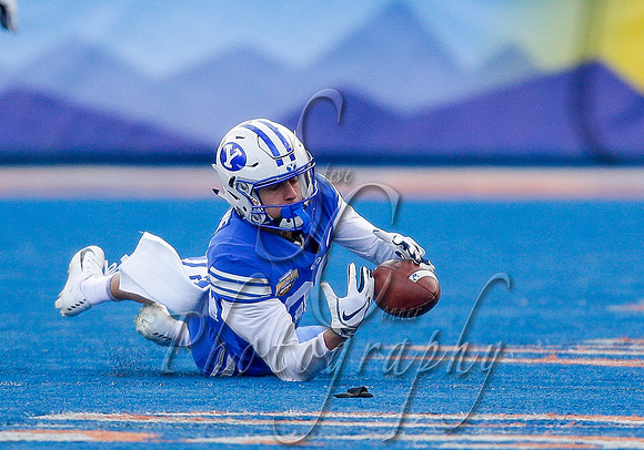 Potato Bowl 135