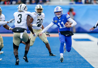Potato Bowl 106