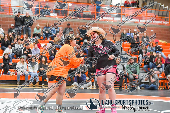 006 Girls wrestling Districts finals and awards 1-13
