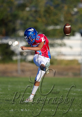 001 09042020 Weiser vs Emmett 003