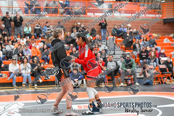 006 Girls wrestling Districts finals and awards 1-4