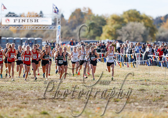 5A Girls Steve 175