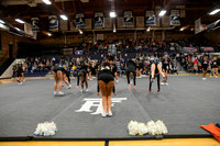 006 Jerome Cheer Districts 1 -10