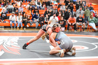 006 Girls wrestling Districts finals and awards 1-18