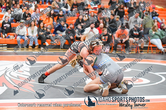 006 Girls wrestling Districts finals and awards 1-18