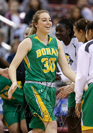 Borah vs Mountain View