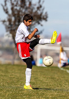 Wendell vs Weiser