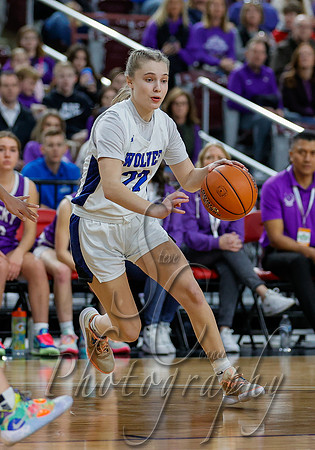 Rocky Mountain vs. Timberline 007
