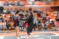 006 Girls wrestling Districts finals and awards 1-3