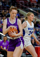 Rocky Mountain vs. Timberline 012
