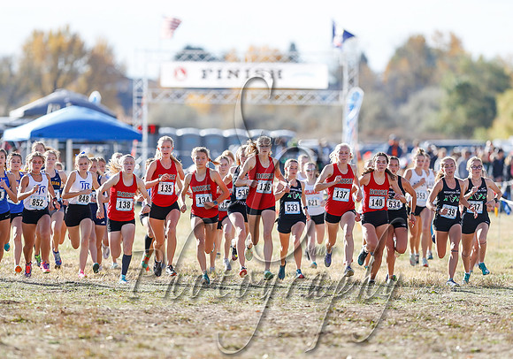 5A Girls Steve 176