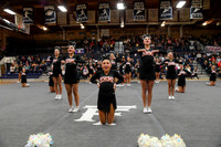 006 Jerome Cheer Districts 1 -2