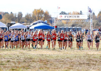 5A Girls Steve 172