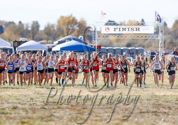 5A Girls Steve 172