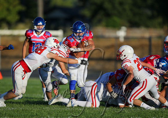 001 09042020 Weiser vs Emmett 015