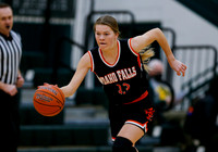 Idaho Falls vs. Caldwell 019