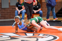 006 Girls wrestling Districts first rounds 1-9