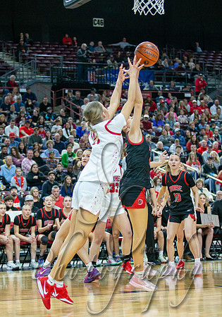 014 02222025 6A Girls State Championship Basketball Boise v Owyhee 013