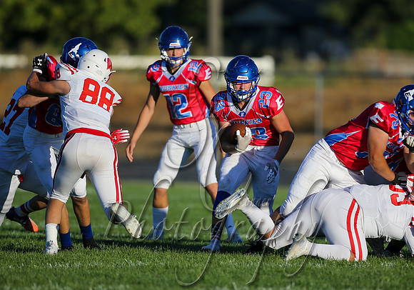 001 09042020 Weiser vs Emmett 011