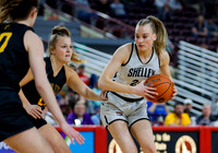 Bishop Kelly vs. Shelley 004