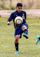 Wendell vs. Bonners Ferry