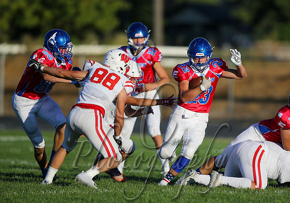 001 09042020 Weiser vs Emmett 013