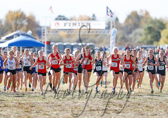 5A Girls Steve 177