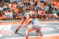 006 Girls wrestling Districts finals and awards 1-17