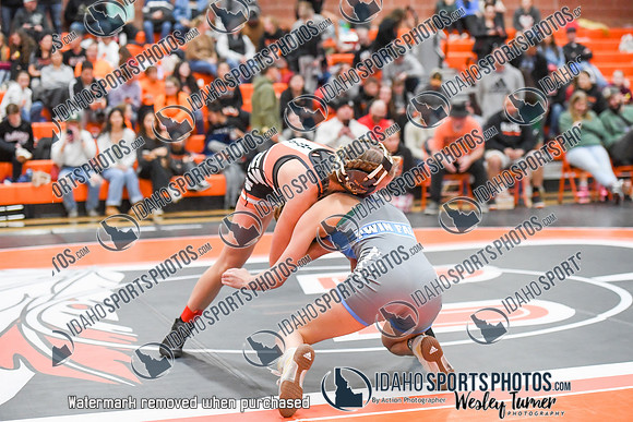 006 Girls wrestling Districts finals and awards 1-17