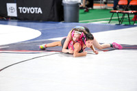 006 State Wresting Championship sat. Afternoon 3-4-5-6 1 -5