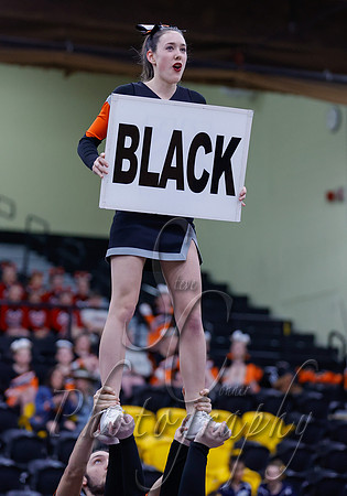 001 02032024 Hagerman - Dist 4 Cheer 014