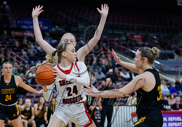 001 02162024 Lakeland vs. Shelley 004