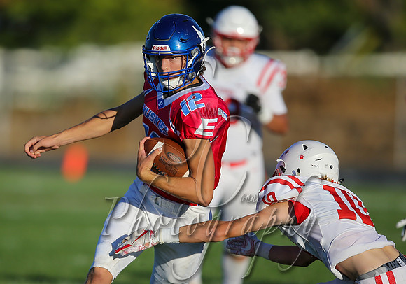 001 09042020 Weiser vs Emmett 020
