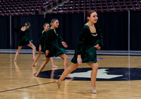 Eagle Dance 007
