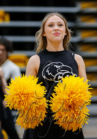 02092025 Cheer and Dance Showcase   008