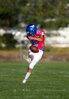Weiser vs Emmett