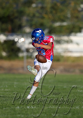 001 09042020 Weiser vs Emmett 002