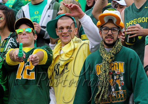NCAA FOOTBALL: OCT 06 California at Oregon