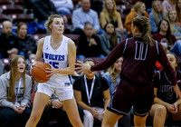 Rigby vs Timberline 011