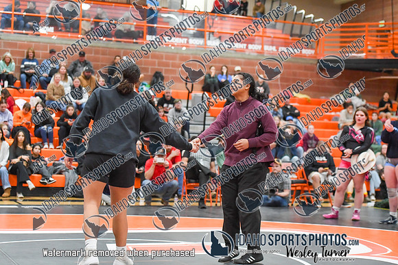 006 Girls wrestling Districts finals and awards 1-10