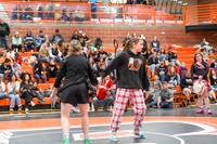 006 Girls wrestling Districts finals and awards 1-8