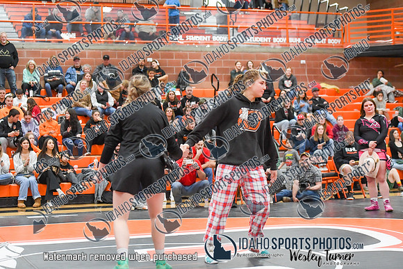 006 Girls wrestling Districts finals and awards 1-8