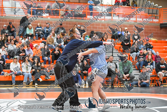 006 Girls wrestling Districts finals and awards 1-9