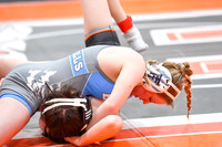 006 Girls wrestling Districts first rounds 1-20
