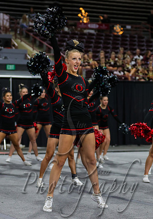 5A State Cheer Championships - Owyhee  010