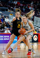 Bishop Kelly vs. Shelley 017