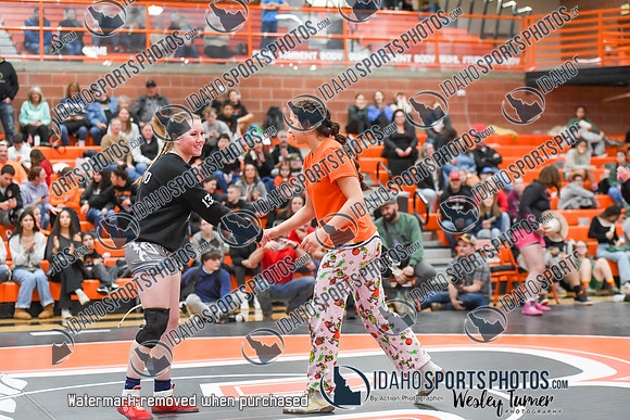 006 Girls wrestling Districts finals and awards 1-6