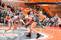 006 Girls wrestling Districts finals and awards 1-15